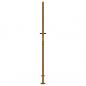 Preview: Gartentor 105x180 cm Cortenstahl Gras-Design