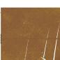 Preview: Gartentor 85x175 cm Cortenstahl Gras-Design