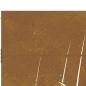 Preview: Gartentor 85x175 cm Cortenstahl Gras-Design