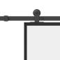 Preview: Schiebetür mit Beschlag 76x205 cm ESG-Glas & Aluminium