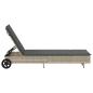Preview: Sonnenliege mit Rollen und Auflage Hellgrau Poly Rattan