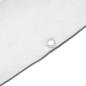 Preview: Transparente Plane mit Ösen 3x10 m Polyethylen