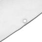 Preview: Transparente Plane mit Ösen 1x10 m Polyethylen