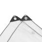 Preview: Transparente Plane mit Ösen 2x3 m Polyethylen