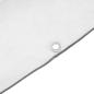 Preview: Transparente Plane mit Ösen 2x3 m Polyethylen