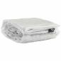 Preview: Transparente Plane mit Ösen 4x8 m PVC