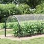 Preview: Transparente Plane mit Ösen 2x12 m PVC
