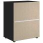 Preview: Sideboard VISNES Schwarz 60x40x73 cm Holzwerkstoff