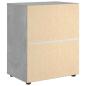 Preview: Sideboard VISNES Betongrau 60x40x73 cm Holzwerkstoff