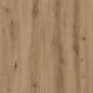 Preview: Kleiderschrank Artisan-Eiche 100x50x200 cm Holzwerkstoff