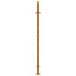 Preview: Gartentor 105x155 cm Wetterfester Stahl Lichtdesign