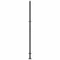 Preview: Gartentor Schwarz 100x200 cm Stahl Flammendesign