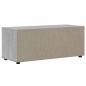 Preview: TV-Schrank VISNES Betongrau 100x40x38 cm Holzwerkstoff