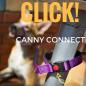 Preview: Canny Hundeleine CONNECT 25mm - lila