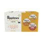 Preview: Applaws Cat Pots Nassfutter Multipack mit Hühnchen Selection 8 x 60g