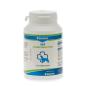 Preview: Canina V25 Vitamintabletten 100g