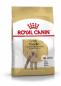 Preview: ARDEBO.de Royal Canin Poodel Adult 500g