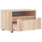 Preview: TV-Schrank VISNES Sonoma-Eiche 60x40x38 cm Holzwerkstoff
