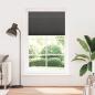Preview: Plissee Schwarz 120x200 cm Stoffbreite 119,4 cm Polyester