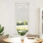 Preview: Plissee Hellgrau 50x100 cm Stoffbreite 49,4 cm Polyester