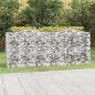 Preview: Gabionen-Hochbeet mit Hochbogen 200x50x100 cm Verzinktes Eisen