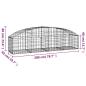 Preview: Gabione mit Hochbogen 200x50x40/60 cm Verzinktes Eisen