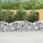 Preview: Gabione mit Hochbogen 200x50x60/80 cm Verzinktes Eisen