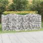 Preview: Gabionen-Hochbeet mit Hochbogen 200x100x100 cm Verzinktes Eisen
