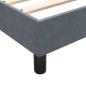 Preview: Boxspringbett mit Matratze Dunkelgrau 80x220 cm Samt