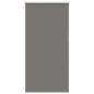 Preview: Verdunkelungsrollo Grau 80x150 cm Stoffbreite 75,7 cm Polyester