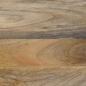 Preview: TV-Schrank 100x33,5x46 cm Massivholz Mango