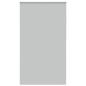 Preview: ARDEBO.de - Verdunkelungsrollo Hellgrau 130x210cm Stoffbreite 126,6cm