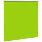 Preview: Verdunkelungsrollo Grün 160x150cm Stoffbreite 156,6cm Polyester