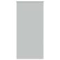 Preview: ARDEBO.de - Verdunkelungsrollo Hellgrau 105x210cm Stoffbreite 100,7cm
