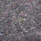 Preview: Rutschfeste Malervliese 2 Stk. 5055 cm 220 g/m² Grau