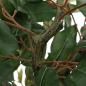 Preview: Ficusbaum Künstlich 756 Blätter 170 cm Grün