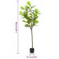 Preview: Ficusbaum Künstlich 48 Blätter 165 cm Grün