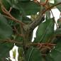 Preview: Ficusbaum Künstlich 480 Blätter 130 cm Grün