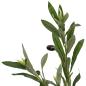 Preview: Olivenbaum Künstlich 450 Blätter 120 cm Grün