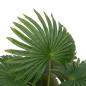 Preview: Palme Künstlich 9 Blätter 65 cm Grün