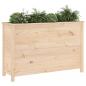 Preview: Hochbeet 119,5x40x78 cm Massivholz Kiefer