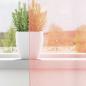 Preview: Voile Vorhänge mit Stangentaschen 2 Stk. Rosa