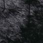 Preview: Teppich Shaggy Hochflor NAVARRA Schwarz 120x170 cm Polyester