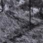 Preview: Teppich Shaggy Hochflor NAVARRA Dunkelgrau 160x160 cm Polyester