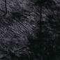 Preview: Teppich Shaggy Hochflor NAVARRA Schwarz 100x100 cm Polyester