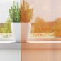 Preview: Voile Vorhänge mit Schlaufen 2 Stk. Orange 140x260 cm