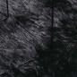 Preview: Teppich Shaggy Hochflor NAVARRA Schwarz 160x230 cm Polyester