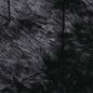 Preview: Teppich Shaggy Hochflor NAVARRA Schwarz 200x200 cm Polyester