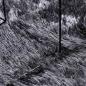 Preview: Teppich Shaggy Hochflor NAVARRA Dunkelgrau 300x200 cm Polyester