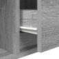 Preview: TV-Schrank Grau Sonoma 100x31x25,5 cm Holzwerkstoff